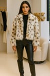 LEOPAR MONT