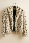 LEOPAR MONT