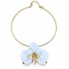 ORCHID MUSE KOLYE