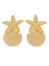 STARFISH SHELL KÜPE