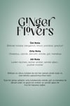 Auramax Pro 1200L Geniş Alan Koku Makinesi Siyah ve Ginger Flowers Auramax Koku Kartuşu 250 ML Seti