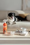 CARPEX 500 ML EVCİL HAYVAN KOKU VE LEKE GİDERİCİ