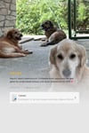 Enzimatik ve Çok Amaçlı Kötü Koku Giderici Set