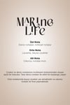 Marine Life A1 Koku Kartuşu 200 ML Classic Seri