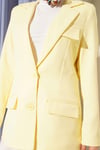 Basic Cepli Ceket Sarı