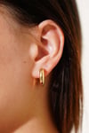 Basic Halka Küpe Gold