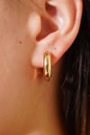 Basic Halka Küpe Gold