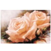 23X33 cm Rich Kolay Transfer - 6042 Koyu Renk