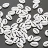 Plastik Deniz Kabuğu (50 adet)