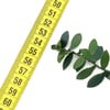 Plastik Yaprak Şerit 7 metre