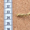 Simli Kordon İp (10 metre)