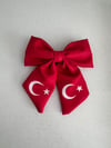 Klips (Pens) Toka Atatürk 1