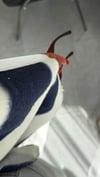 Çizgili Peluş Dokulu Fermuarlı Ceket