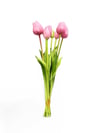 Beyaz Islak Lale 47cm