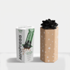 AeroPress® - Renkli