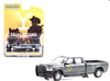2020 Ram 2500 Pickup Truck Dark Gray Metallic