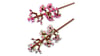 40725 LEGO® Botanicals Kiraz Çiçekleri