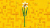 40747 LEGO® Botanicals Nergis
