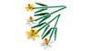 40747 LEGO® Botanicals Nergis