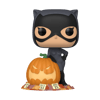 Funko POP! DC COMICS // Catwoman with Pumpkin Special Edition  No: 507 