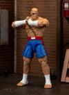 Jada Street Fighter II Sagat Deluxe 1:12 Scale Action Figure