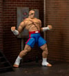 Jada Street Fighter II Sagat Deluxe 1:12 Scale Action Figure