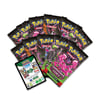 POKEMON TCG: Scarlet & Violet// Shrouded Fable Elite Trainer Box