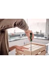 Bosch Home and Garden Tornavida Seti 6 Parça (Set 2) -1600A027PM