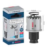 BOSCH PRO SHEET METAL PASLANMAZ PANÇ 29 2608594445