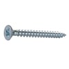 MERİDYEN SUNTA VİDASI 4.5x40 (200 AD.)