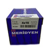 MERİDYEN SUNTA VİDASI 4x16 (1000 AD.)