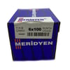 MERİDYEN SUNTA VİDASI 6x100 (100 AD.)