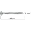 MERİDYEN SUNTA VİDASI 6x45 (200 AD.)