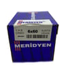 MERİDYEN SUNTA VİDASI 6x60 (200 AD.)