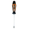 RETTA RXT1025 TORX UÇ DELİKLİ TORNAVİDA T25x100 MM
