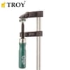 TROY 25033 İşkence (120x200mm)