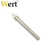 WERT 3405 Cam Delme Ucu (10x65mm)