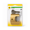 YALE 70 MM OVAL KAYAR PİMLİ ASMA KİLİT BİLİSTERLİ