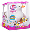 pets-alive-anneyavru-ordekler-9548-aa28fa.jpg