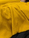 aaa