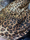 ışıltı leopar