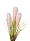 4'lü Pembe Pampas Tüy