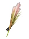 4'lü Pembe Pampas Tüy