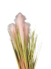 4'lü Pembe Pampas Tüy