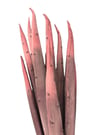 Bordo Yapay Bambu Çiçek