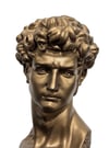 David Bronz Büst