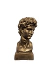 David Bronz Büst
