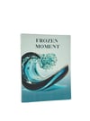 Frozen Moment Kitap Kutu (K)