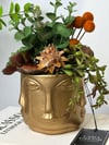Gold Adler Saksı (K)