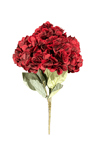 LARA DECOR - Bordo 5'li Ortanca Demeti